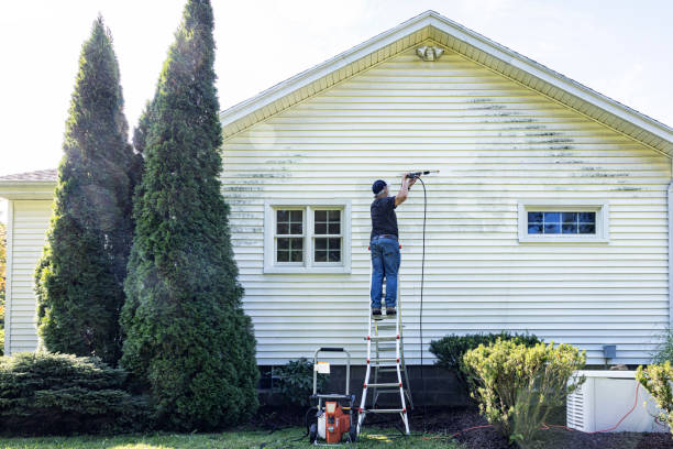 Best Gutter Cleaning  in West Vero Corridor, FL